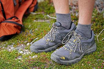 The North Face Hedgehog Fastpack GTX hiking shoe
